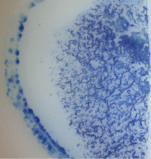 写真&nbsp;まめピカ使用前